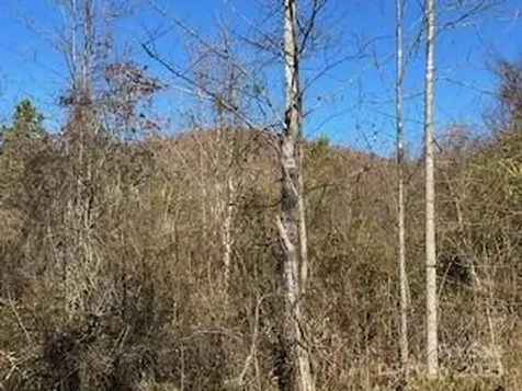 418 Owl Hollow Road Marion NC 28752