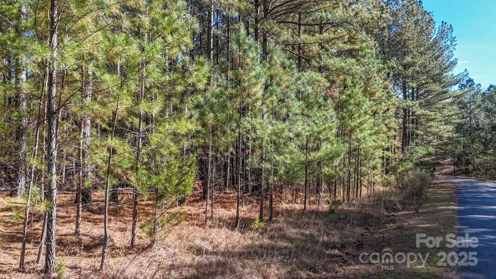 132 Whispering Pines Lane Mooresboro NC 28114