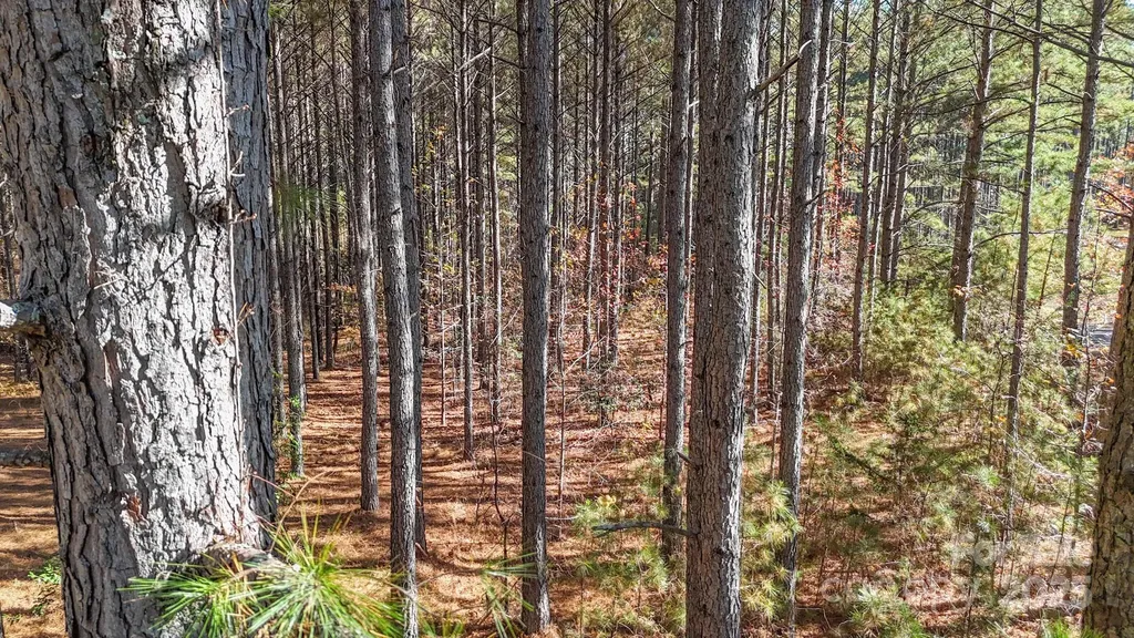 132 Whispering Pines Lane Mooresboro NC 28114