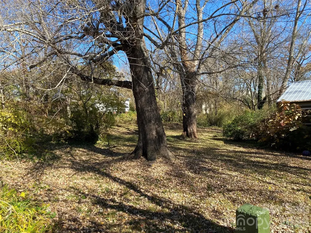 24 Ridge Avenue Asheville NC 28803