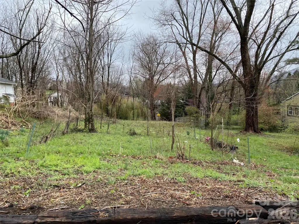 24 Ridge Avenue Asheville NC 28803