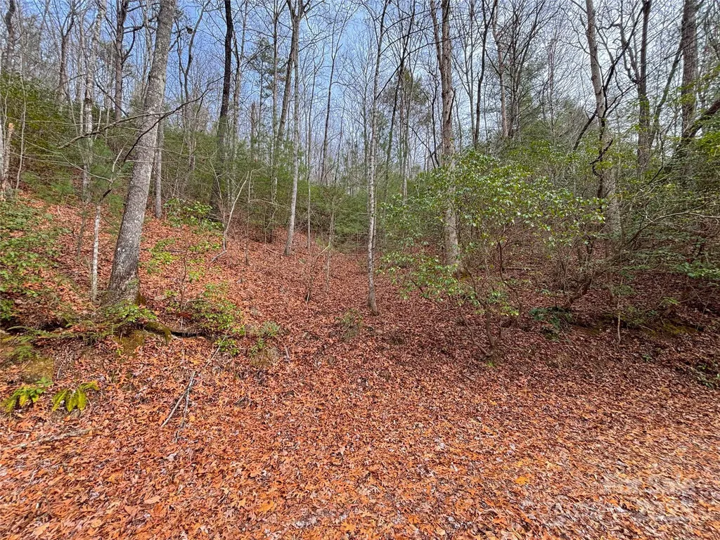 999 Hillside Terrace Robbinsville NC 28771