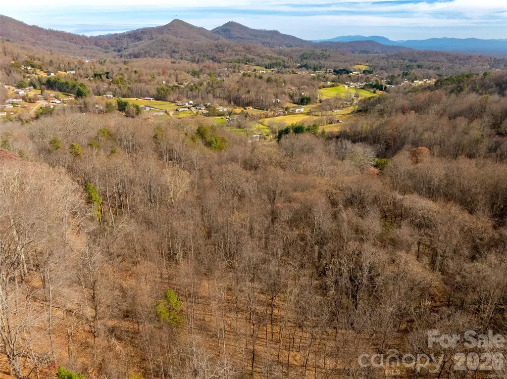 99999 Bay Horse Trail Candler NC 28715
