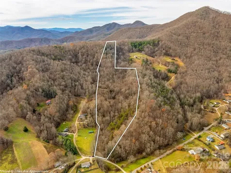 99999 Bay Horse Trail Candler NC 28715