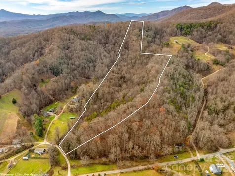 99999 Bay Horse Trail Candler NC 28715