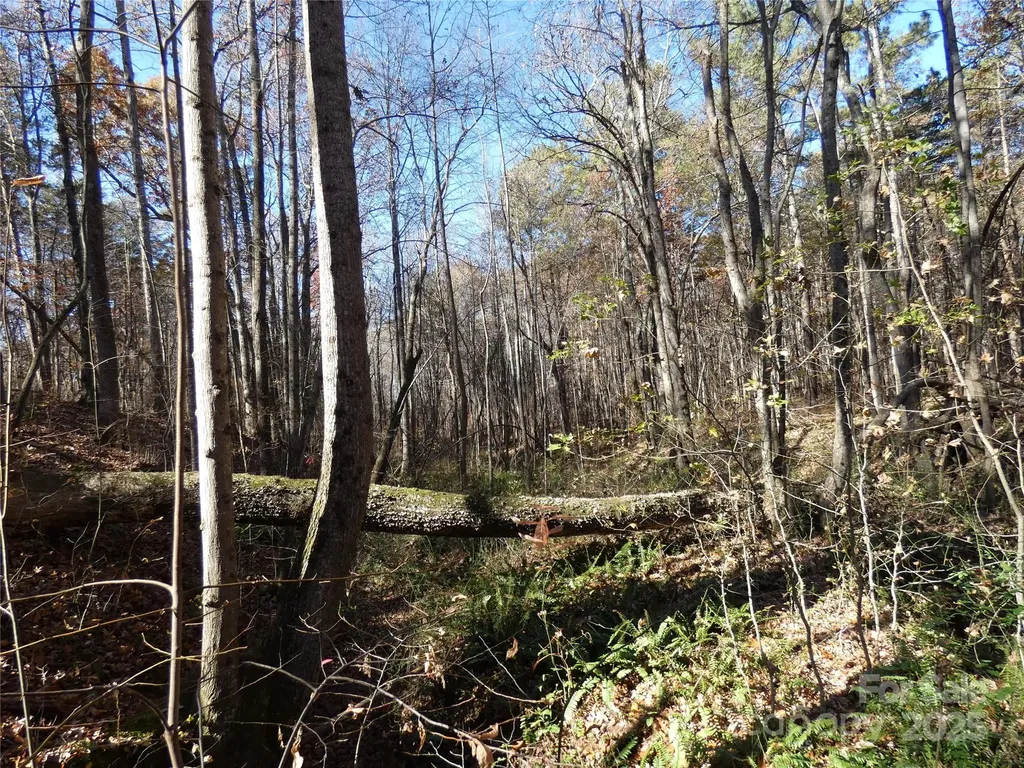 150 Fonda Road Statesville NC 28677