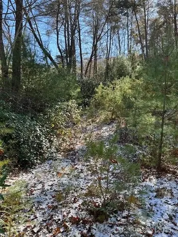 Tbd Kitchen Loop Road Lake Toxaway NC 28747
