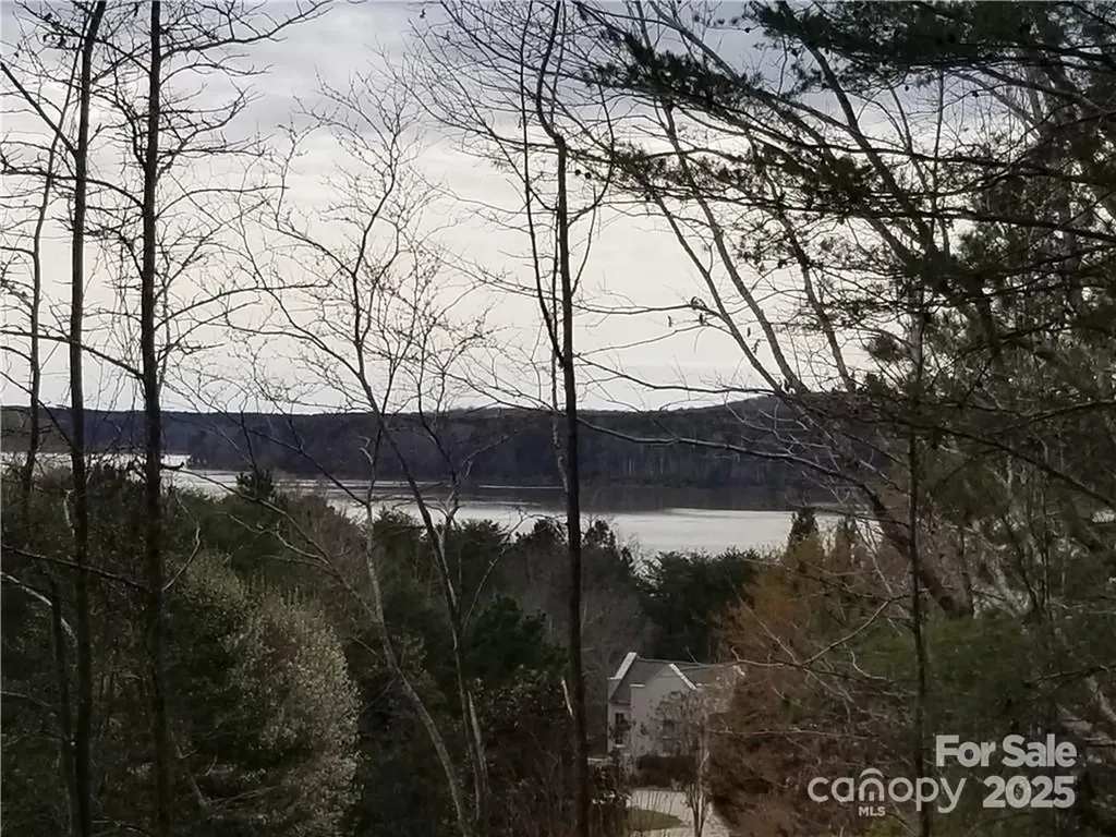 176 Mallard Drive Badin Lake NC 28127