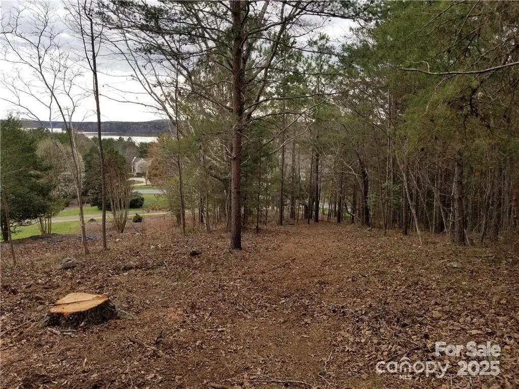 176 Mallard Drive Badin Lake NC 28127