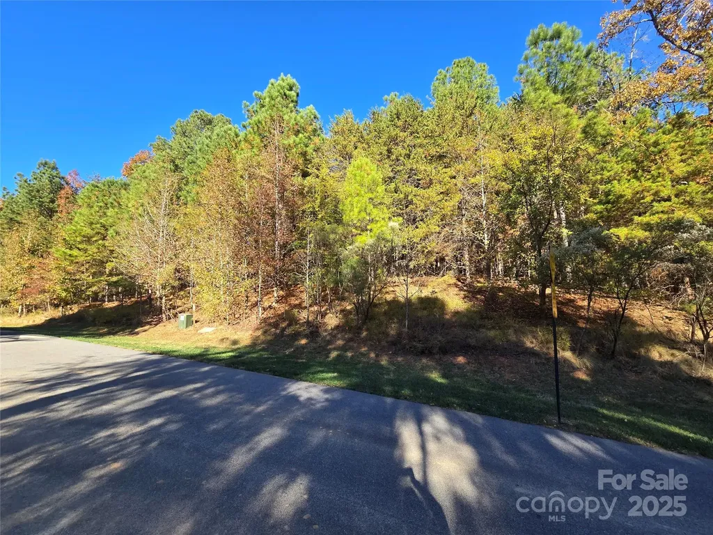 176 Mallard Drive Badin Lake NC 28127