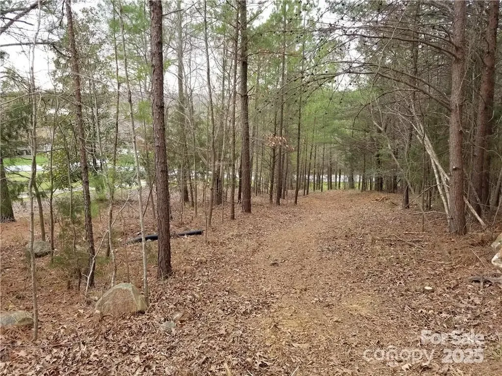 176 Mallard Drive Badin Lake NC 28127