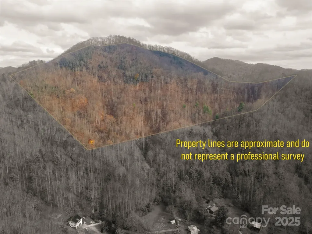 ### Grapevine Road Marshall NC 28753
