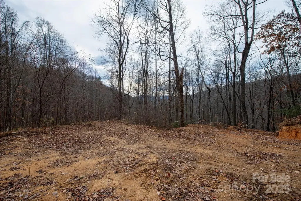 ### Grapevine Road Marshall NC 28753