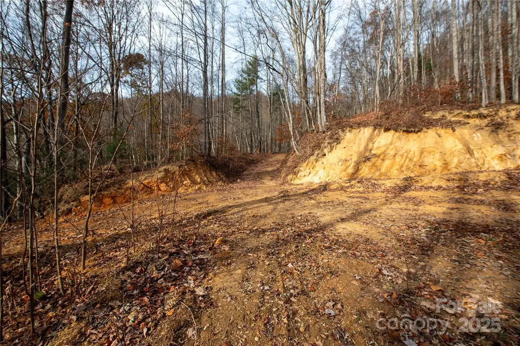 ### Grapevine Road Marshall NC 28753