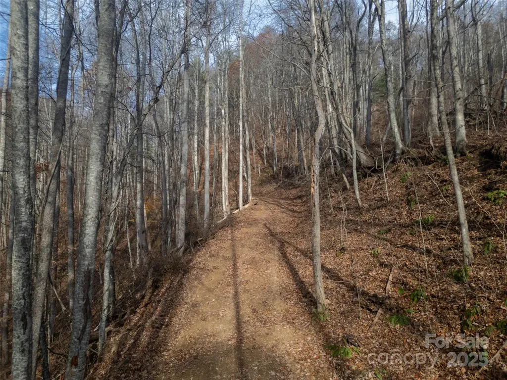 ### Grapevine Road Marshall NC 28753