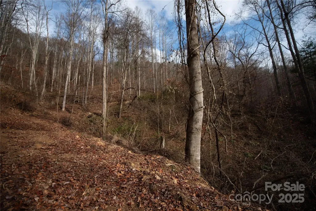 ### Grapevine Road Marshall NC 28753