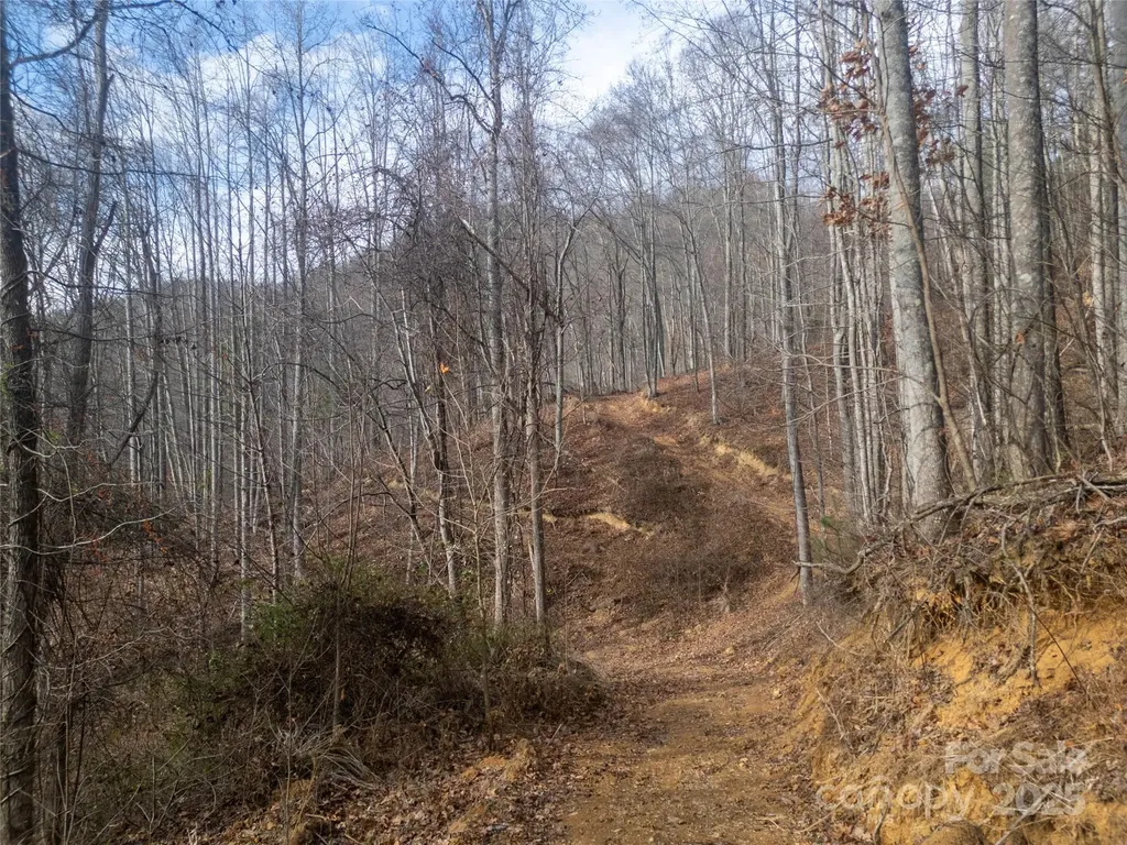 ### Grapevine Road Marshall NC 28753