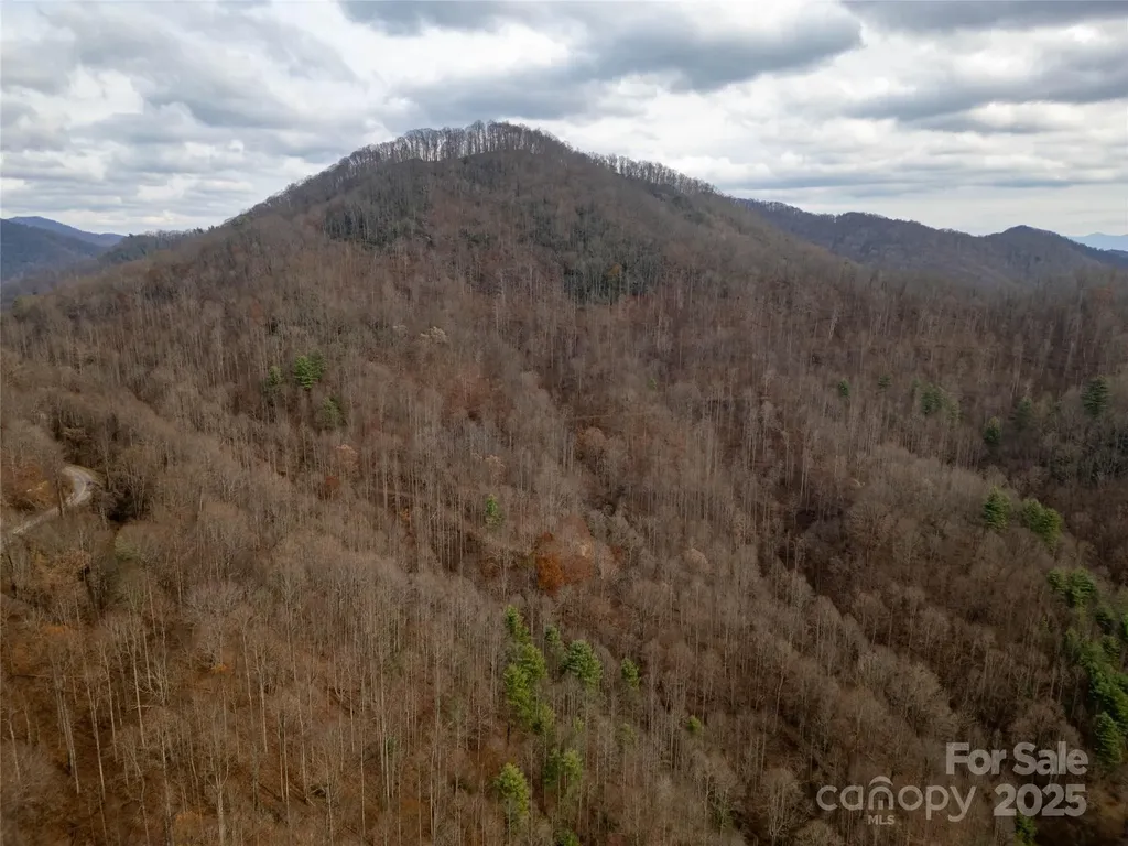 ### Grapevine Road Marshall NC 28753