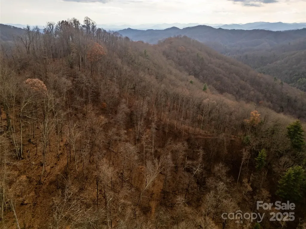 ### Grapevine Road Marshall NC 28753