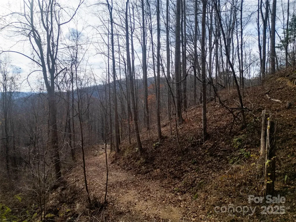 ### Grapevine Road Marshall NC 28753