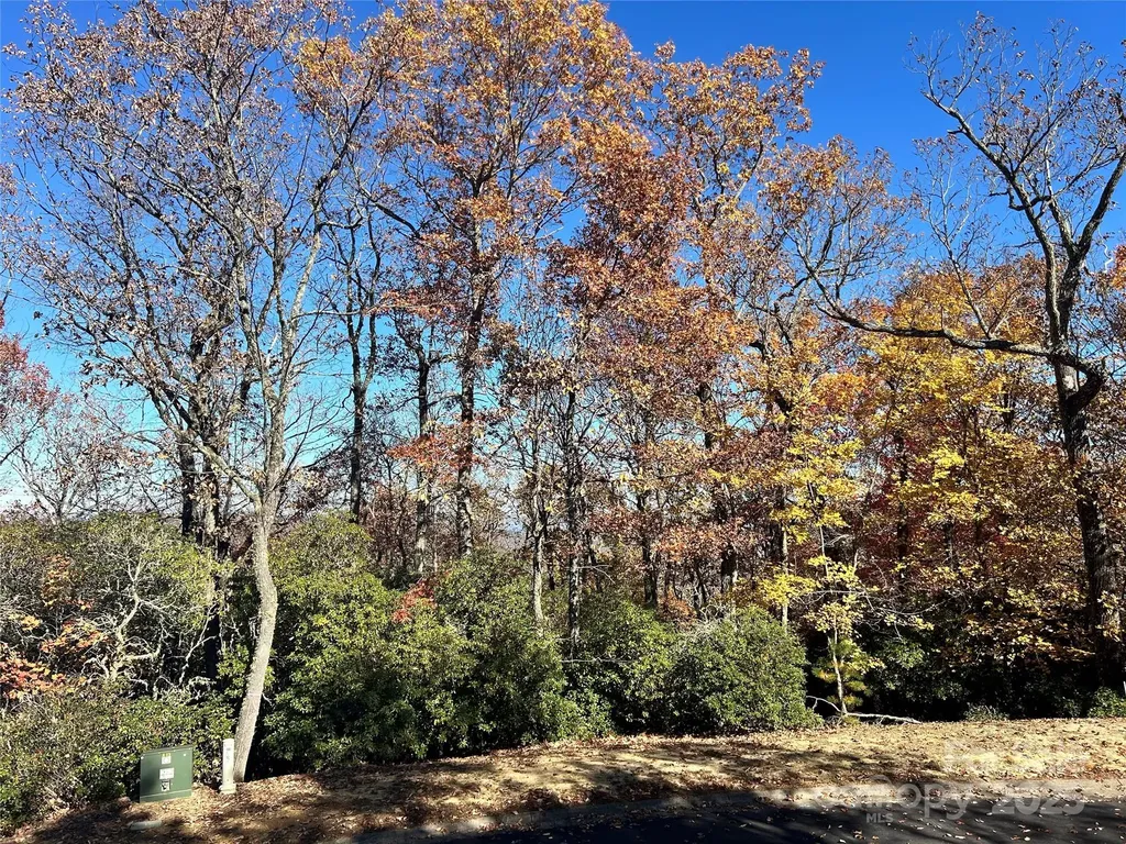 1114 Mills River Way Horse Shoe NC 28742