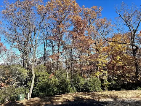 1114 Mills River Way Horse Shoe NC 28742