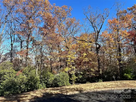 1114 Mills River Way Horse Shoe NC 28742