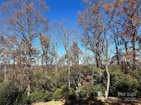 1114 Mills River Way Horse Shoe NC 28742