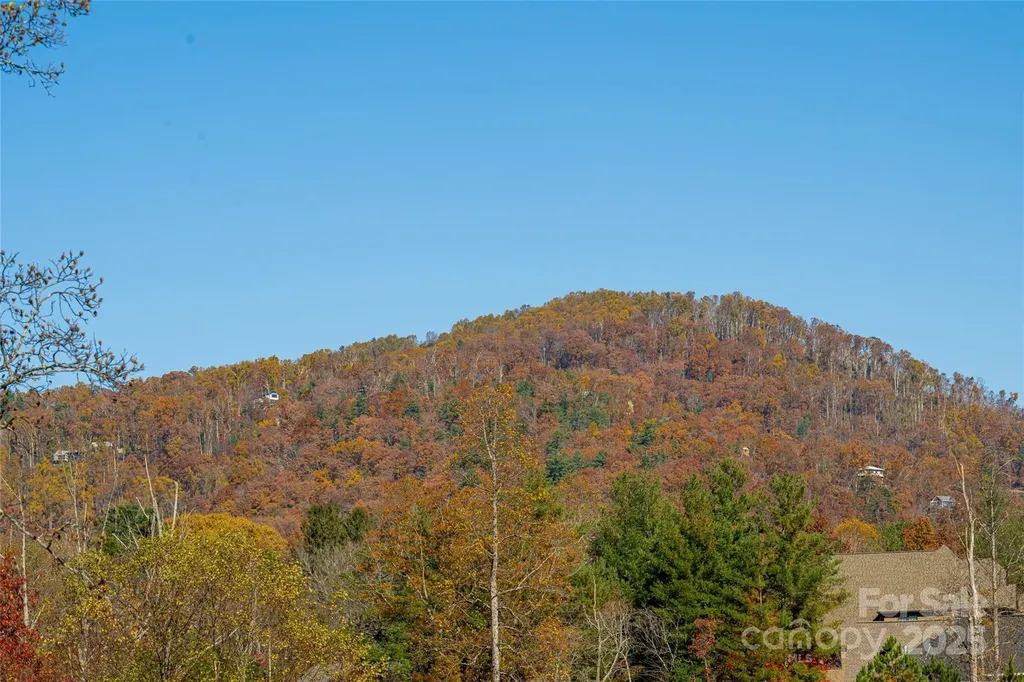 38 Chantilly Drive Asheville NC 28804