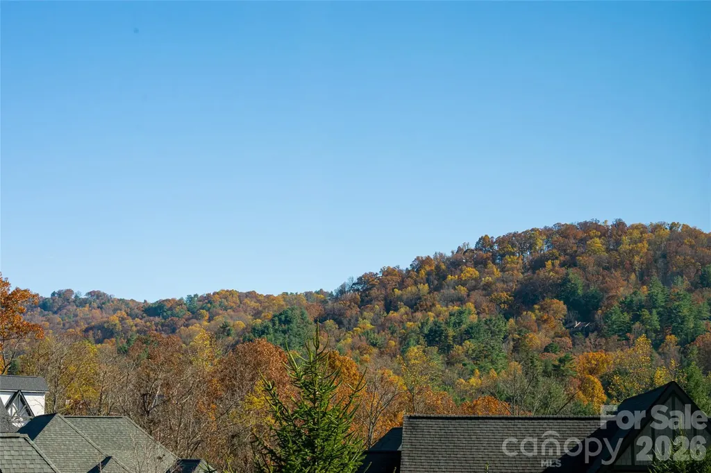 38 Chantilly Drive Asheville NC 28804
