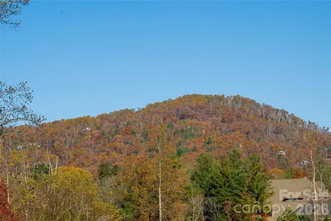 38 Chantilly Drive Asheville NC 28804