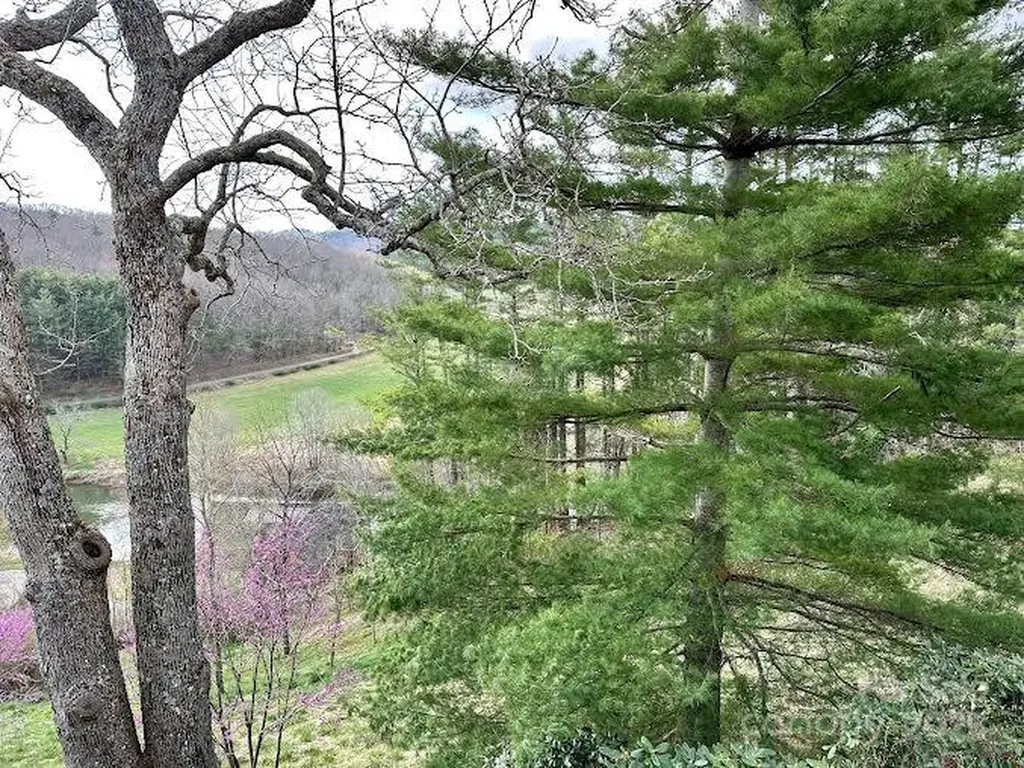 520 E Landing Ridge Circle Jefferson NC 28640