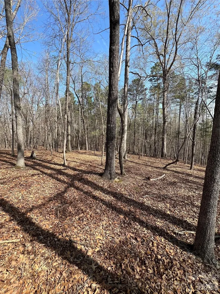 0 Snuggs Park Road Albemarle NC 28001