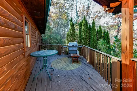 114 Birddog Boulevard Lake Lure NC 28746