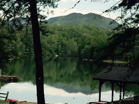 114 Birddog Boulevard Lake Lure NC 28746
