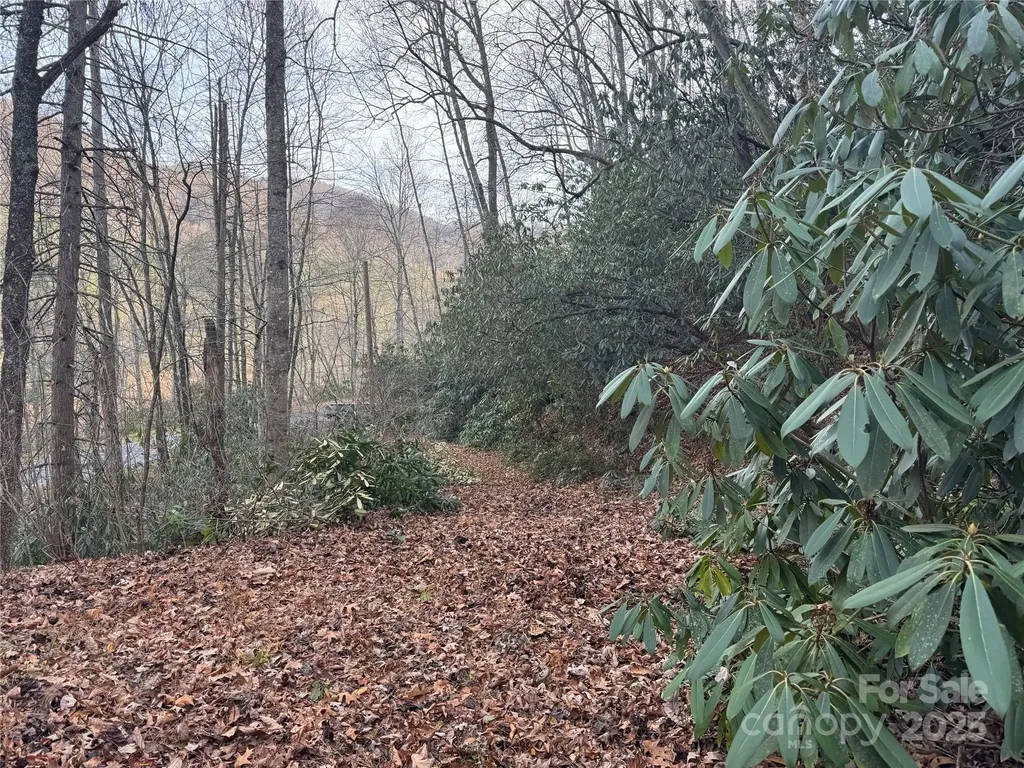 2664 Nc Hwy 9 Highway Black Mountain NC 28711