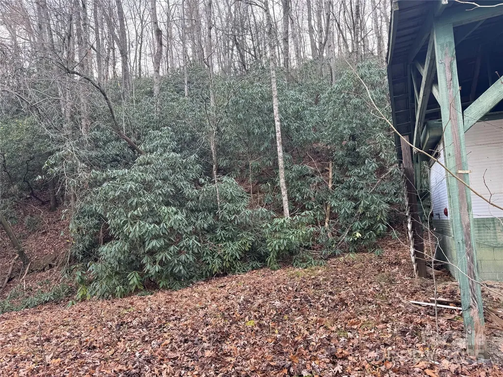 2664 Nc Hwy 9 Highway Black Mountain NC 28711