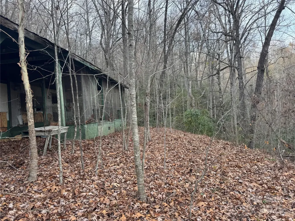 2664 Nc Hwy 9 Highway Black Mountain NC 28711