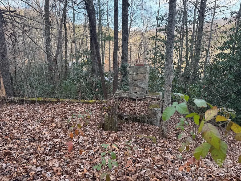 2664 Nc Hwy 9 Highway Black Mountain NC 28711