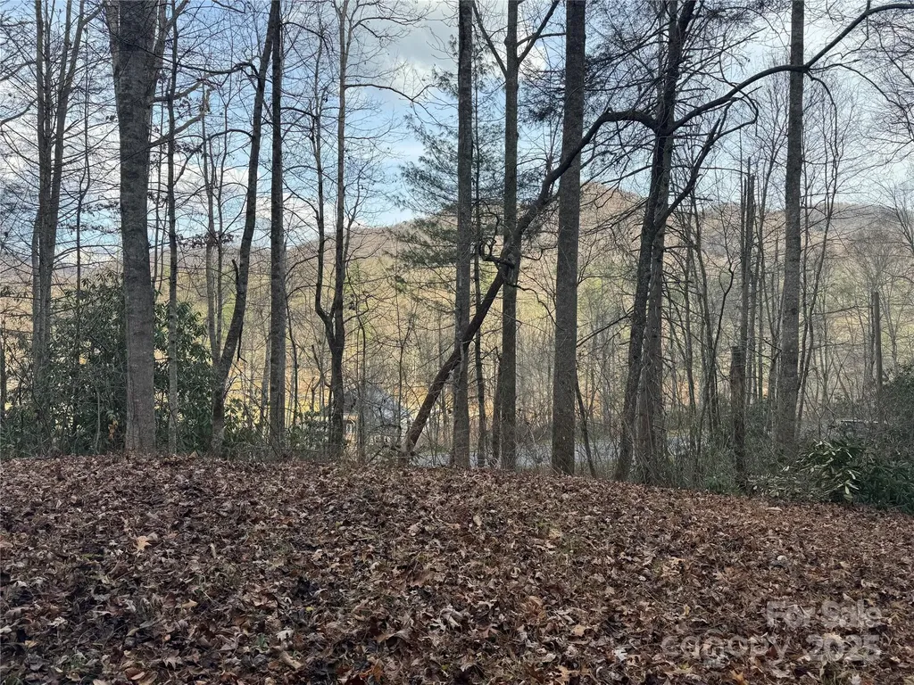 2664 Nc Hwy 9 Highway Black Mountain NC 28711