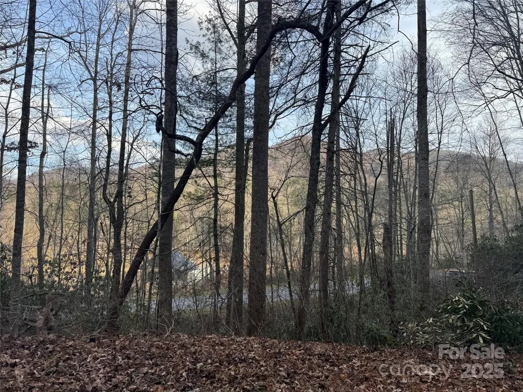 2664 Nc Hwy 9 Highway Black Mountain NC 28711