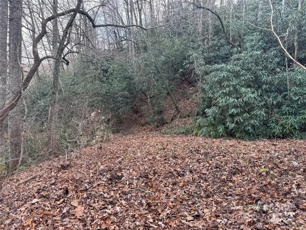 2664 Nc Hwy 9 Highway Black Mountain NC 28711