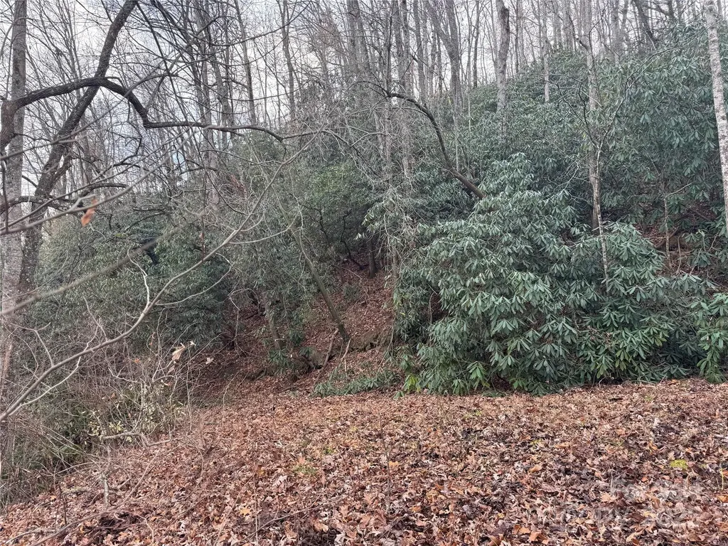 2664 Nc Hwy 9 Highway Black Mountain NC 28711