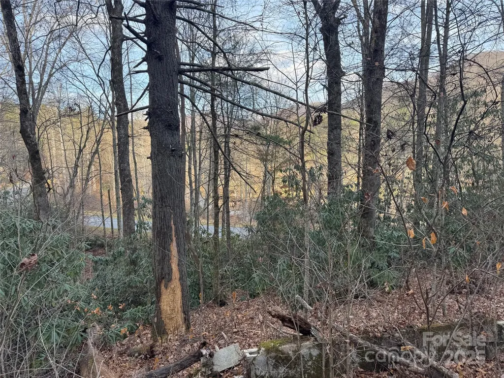 2664 Nc Hwy 9 Highway Black Mountain NC 28711