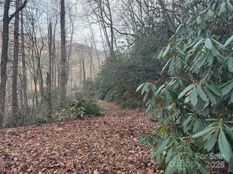 2664 Nc Hwy 9 Highway Black Mountain NC 28711