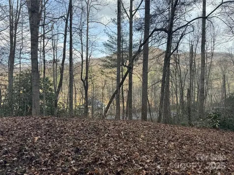 2664 Nc Hwy 9 Highway Black Mountain NC 28711