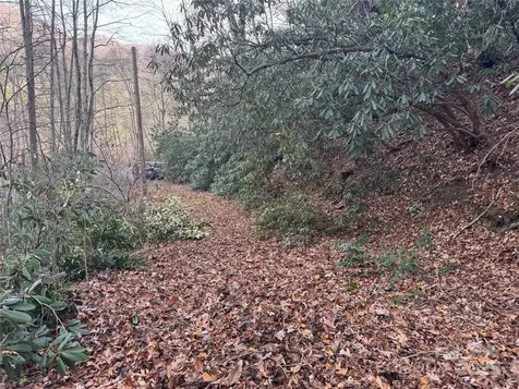 2664 Nc Hwy 9 Highway Black Mountain NC 28711