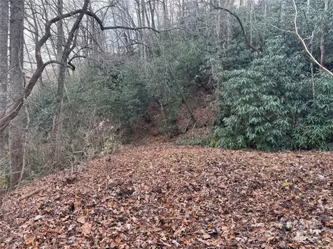 2664 Nc Hwy 9 Highway Black Mountain NC 28711