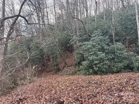 2664 Nc Hwy 9 Highway Black Mountain NC 28711