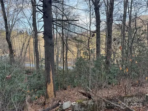 2664 Nc Hwy 9 Highway Black Mountain NC 28711